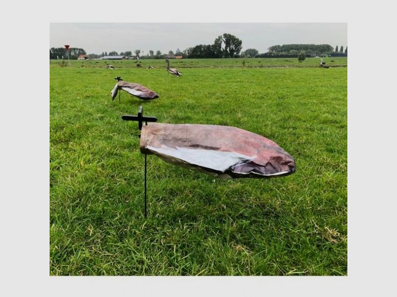 Windecoy Nilgans ohne Kopf 10 Stk.