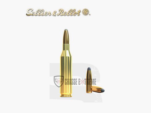 400 cartridges S&B cal 243 Win 100gr SP