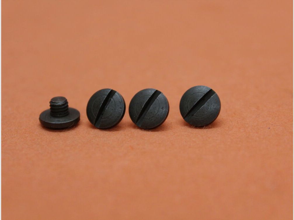 SIG Sauer SIG Sauer Classic Line: 4 pieces of grip panel screws phosphated (34280334)