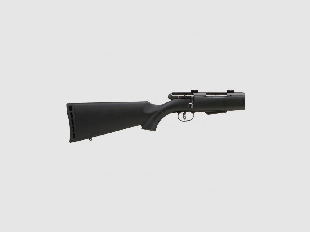 SAVAGE 25 Walking Varminter - 222 Rem, Bild 2 von 2
