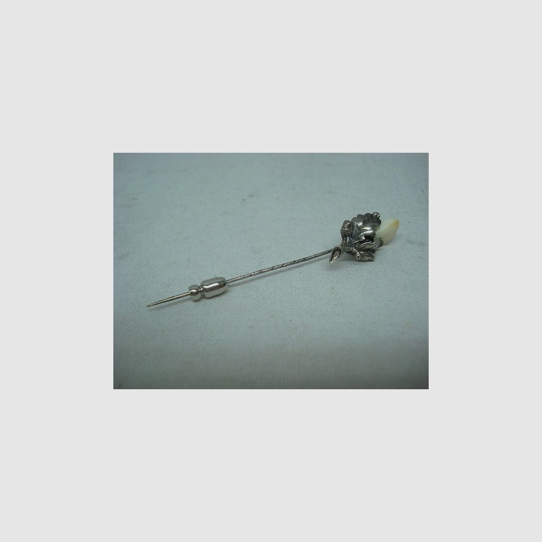 Werthe dasspeld eikel met blad