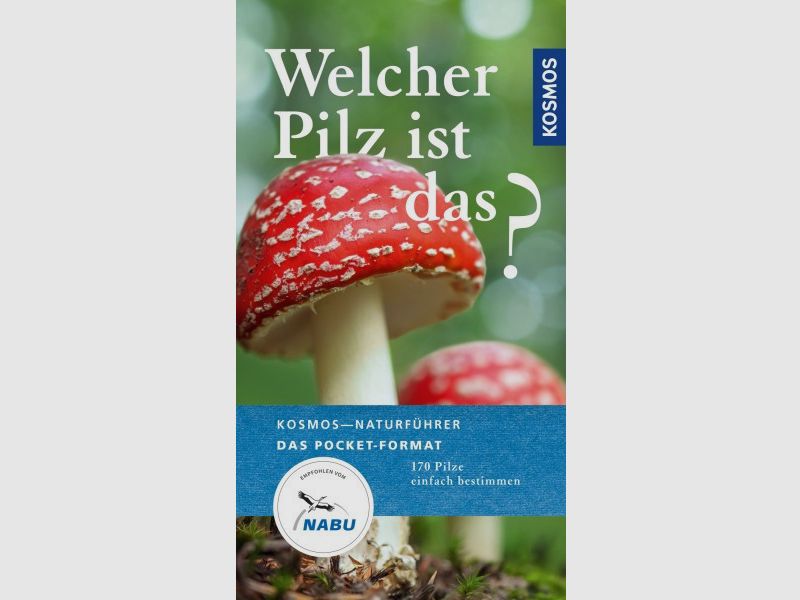 WELCHER PILZ IST DAS? - 170 PILZE BESTIMMEN