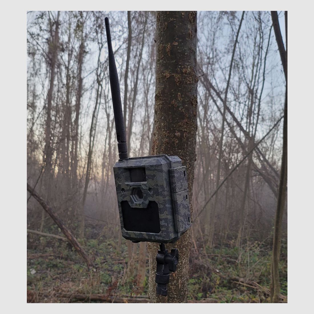 Icuserver Wildcamera Icucam5 4G-LTE