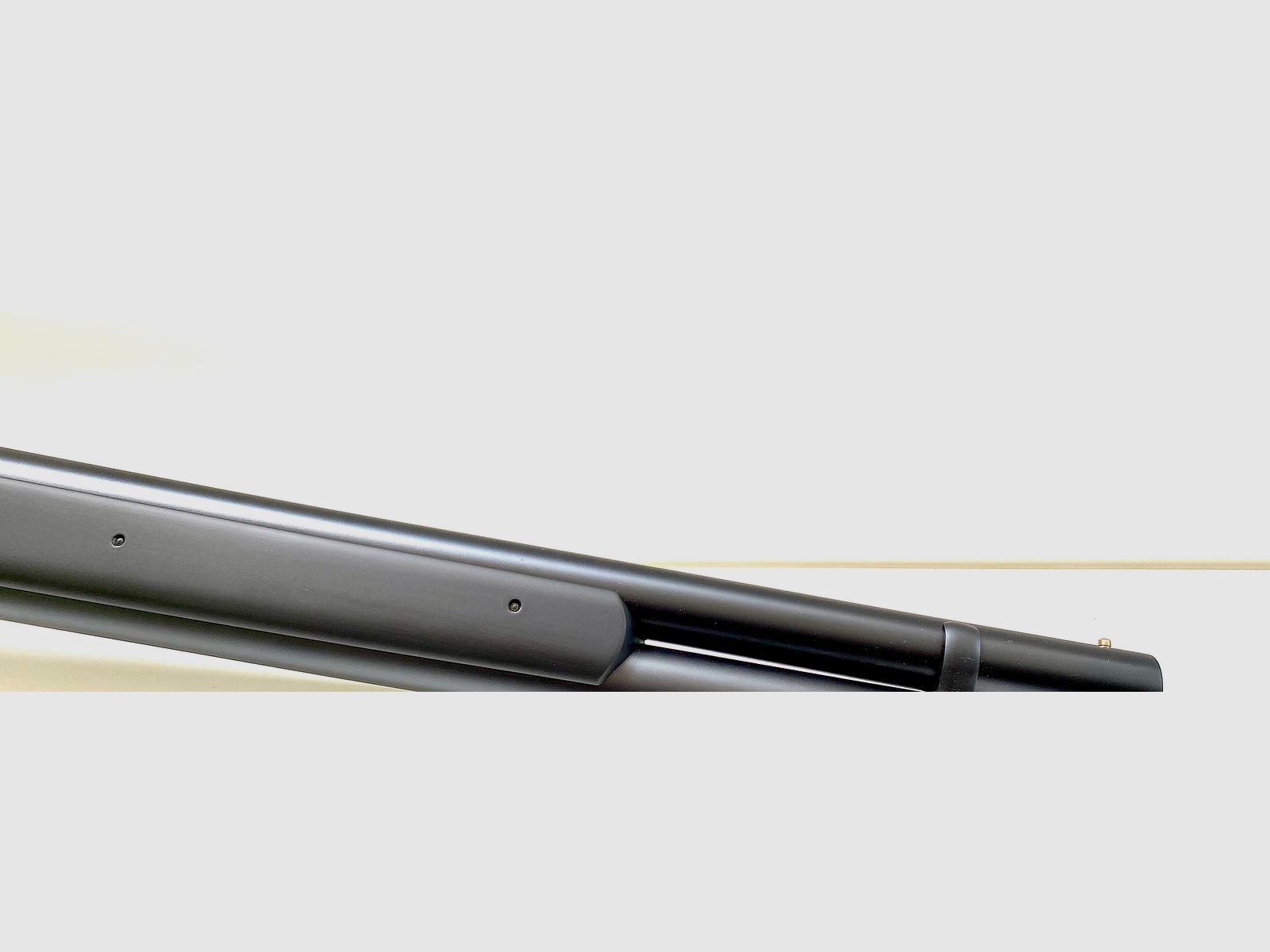 CHIAPPA 1887 T-Model