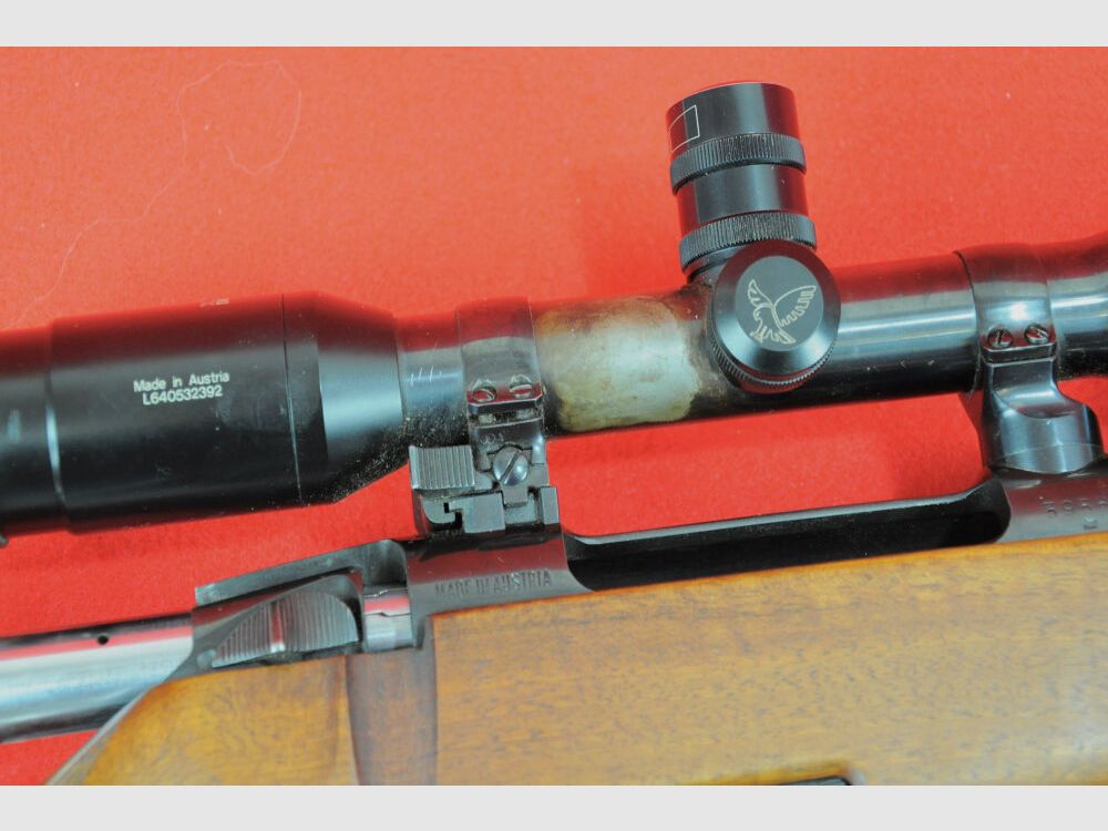 Steyr Mannlicher Mod. M