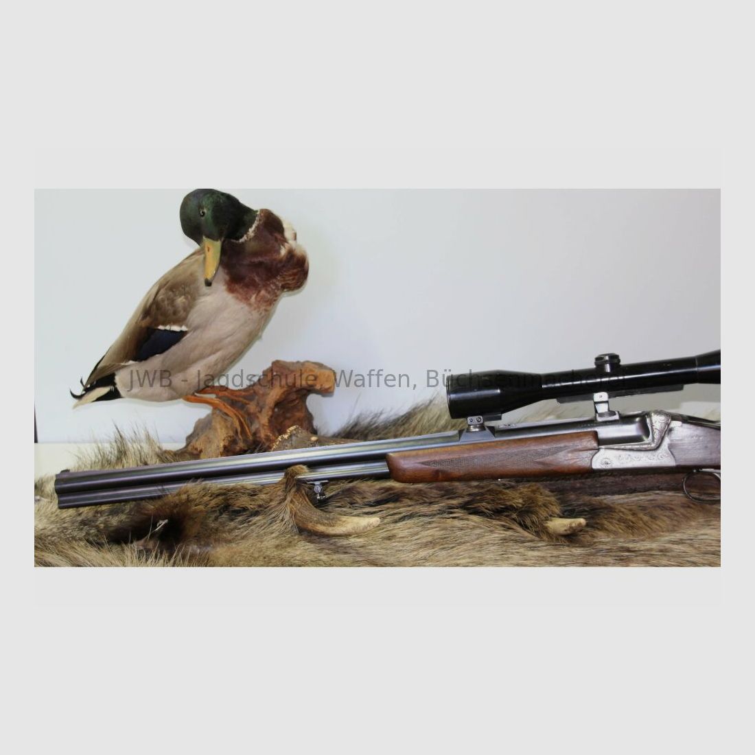 Bockbuksflinte Sauer & Sohn 54 6,5x57R;16/70