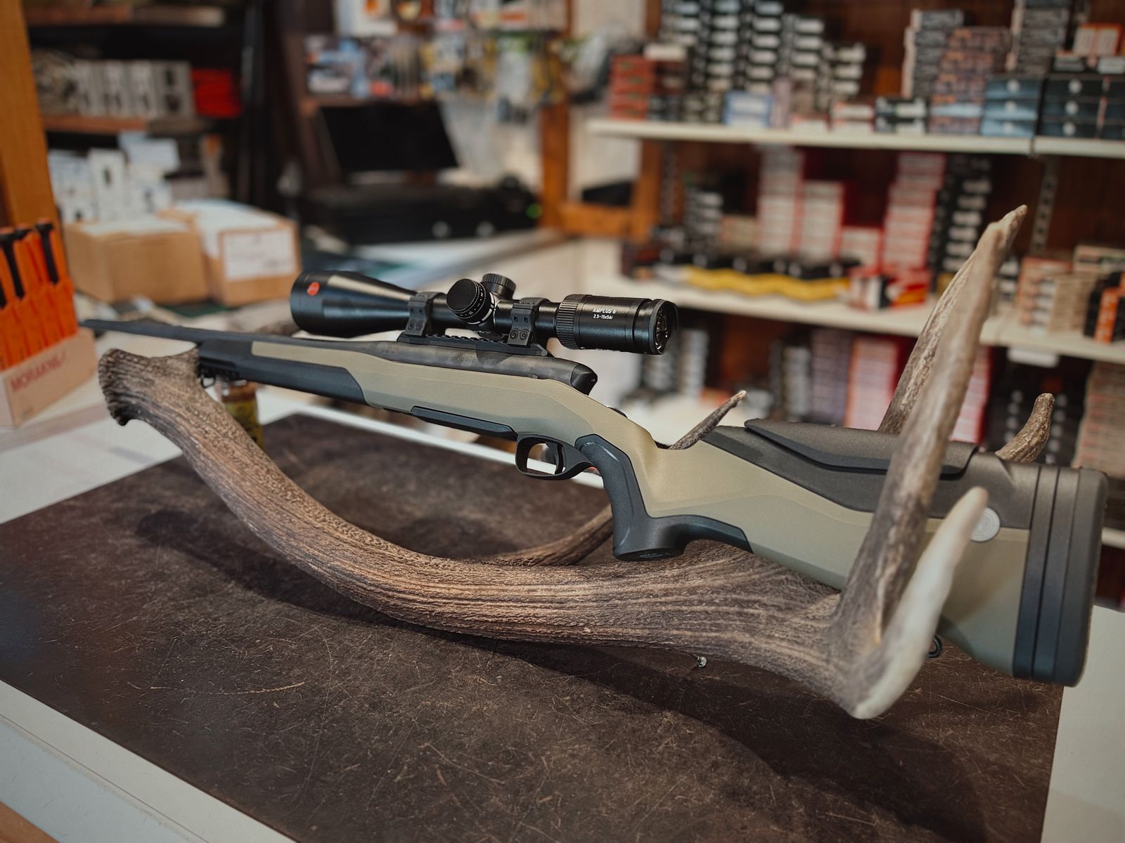Steyr MS Wild - .308Win - Leica Amplus 2,5-15X56
