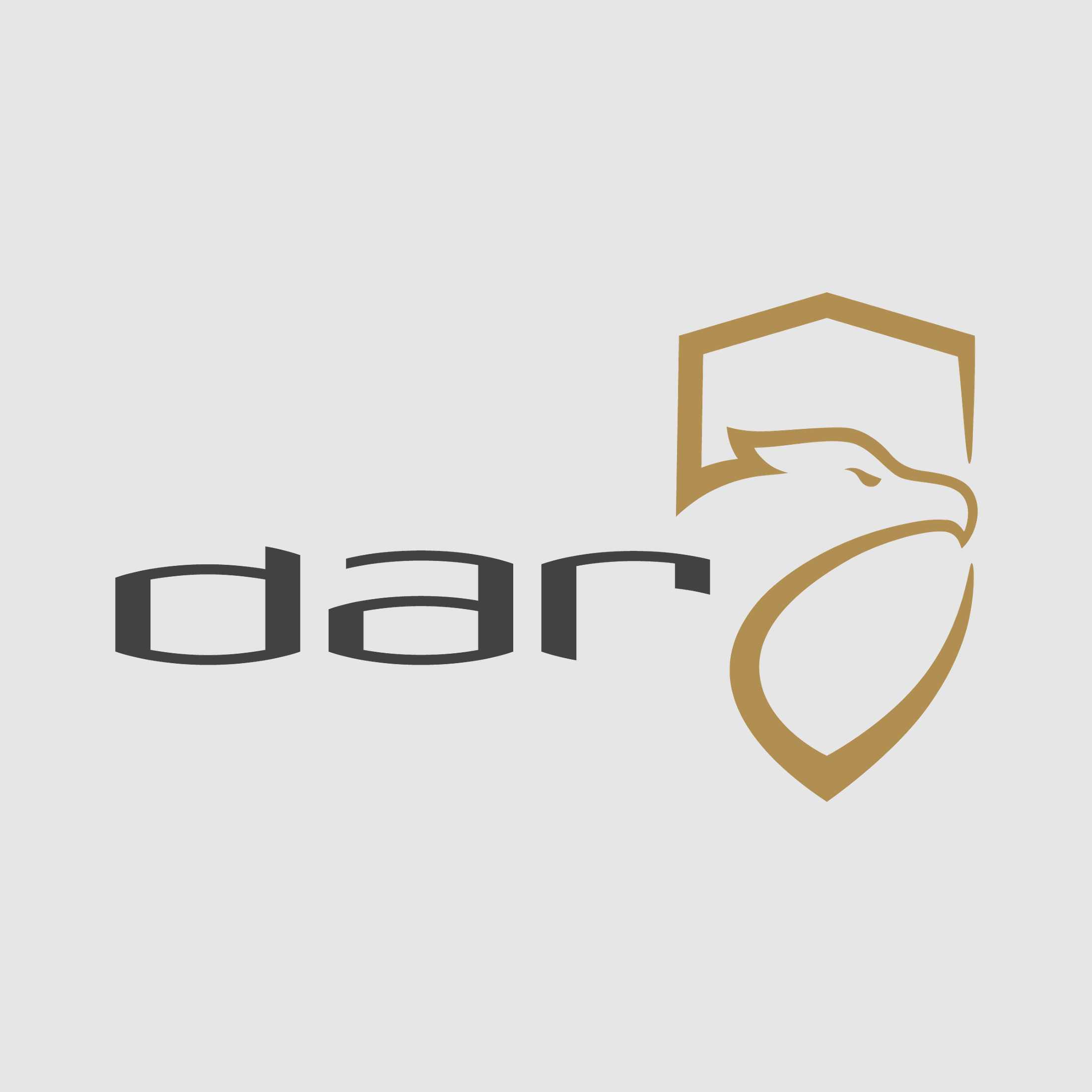 DAR-15 SSP (SHORT SPORT), image 5 of 6