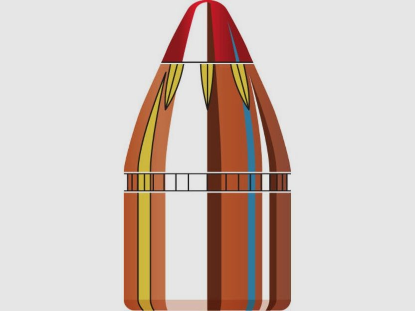 .452 (.460 S&W) 200 grs FTX Handgun