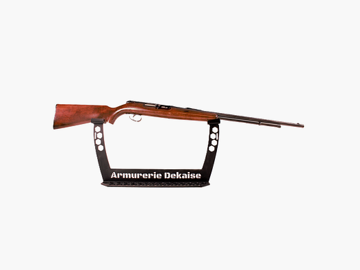 REMINGTON 550 22LR