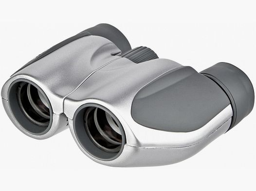 Olympus Olympus 10x21 DPC I