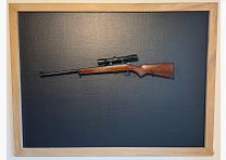Anschütz .22 lfb with 1.5-6x36 Zeiss Diavari scope - TOP condition