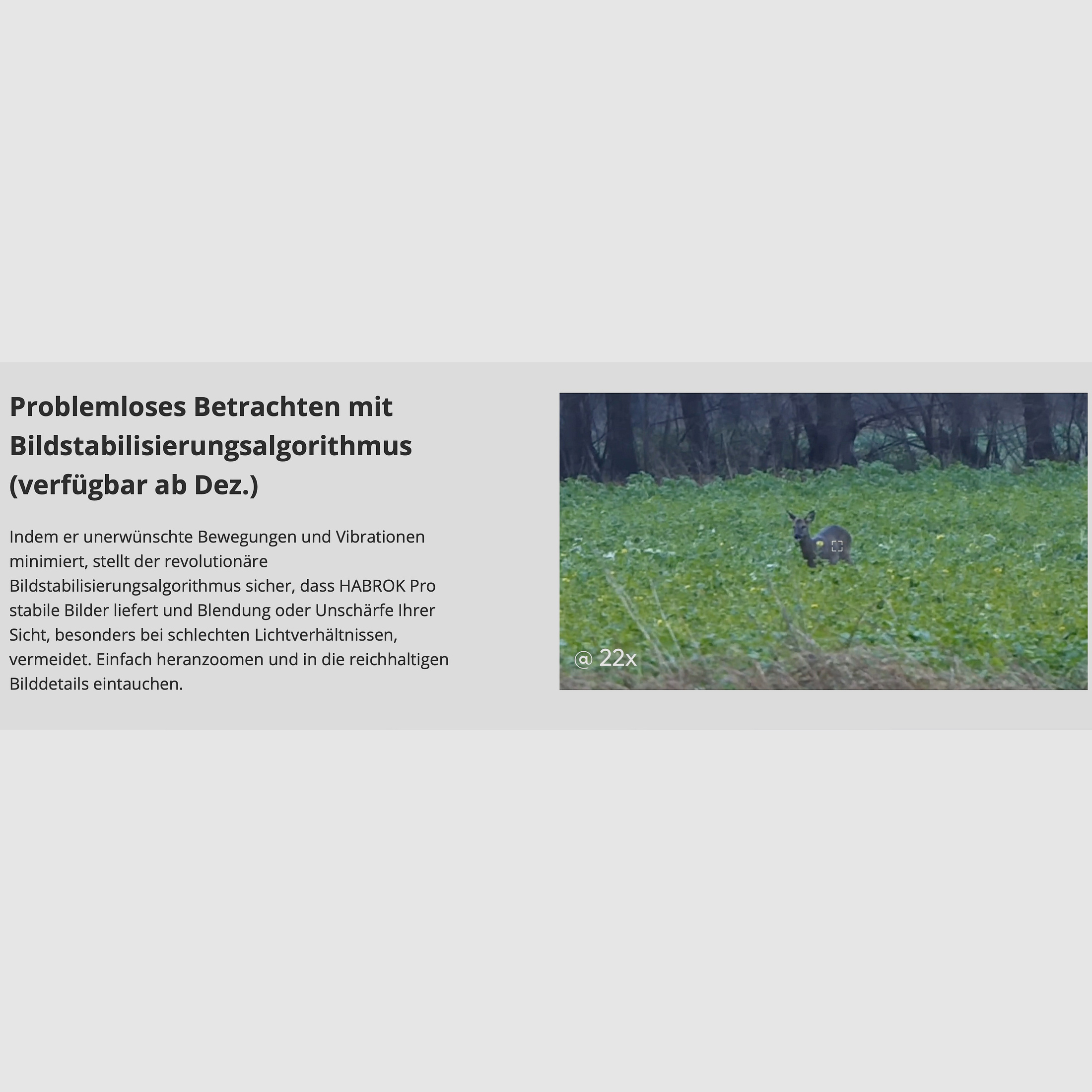 Hikmicro Binocular Habrok Pro HQ50L Wärmebild/Nachtsicht/Digitalkamera 850Nm 3840 × 2160