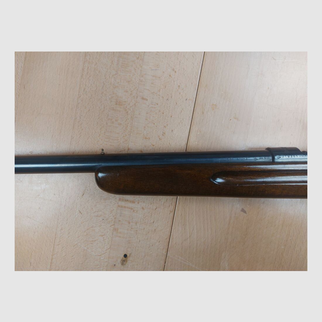 Anschütz, Ulm shotgun