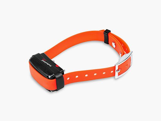 Dogtrace Professional 2000 One+ Oranje