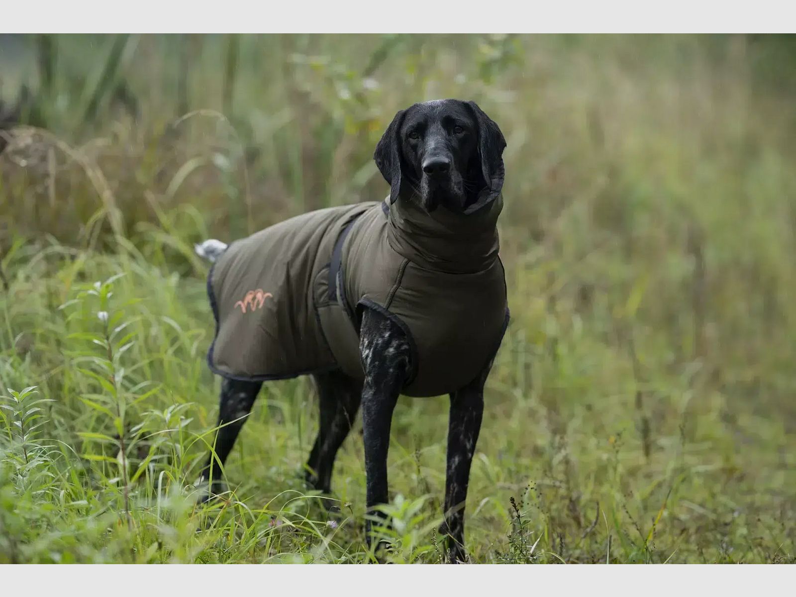 Blaser Hundeponcho dunkel oliv
