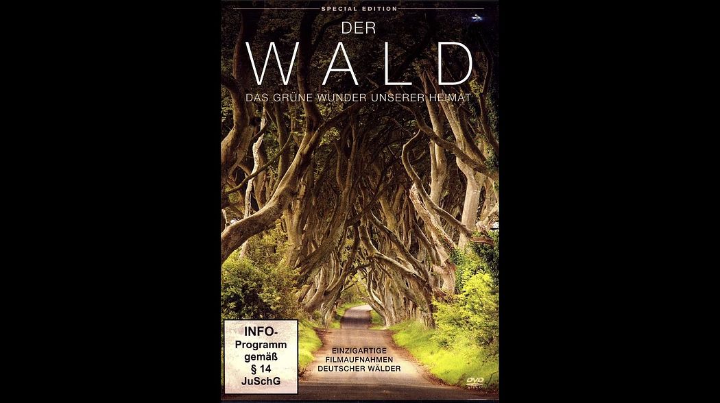 Der Wald - Das grüne Wunder unserer Heimat