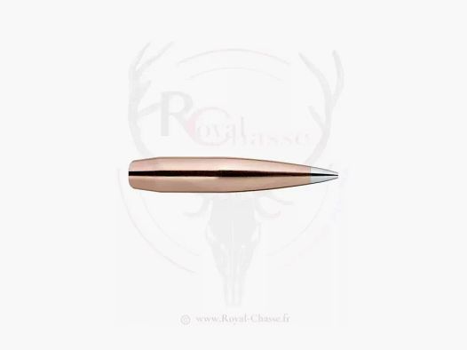 100 ogives Cal.30 D.308 230Grs A-TIP MATCH HORNADY
