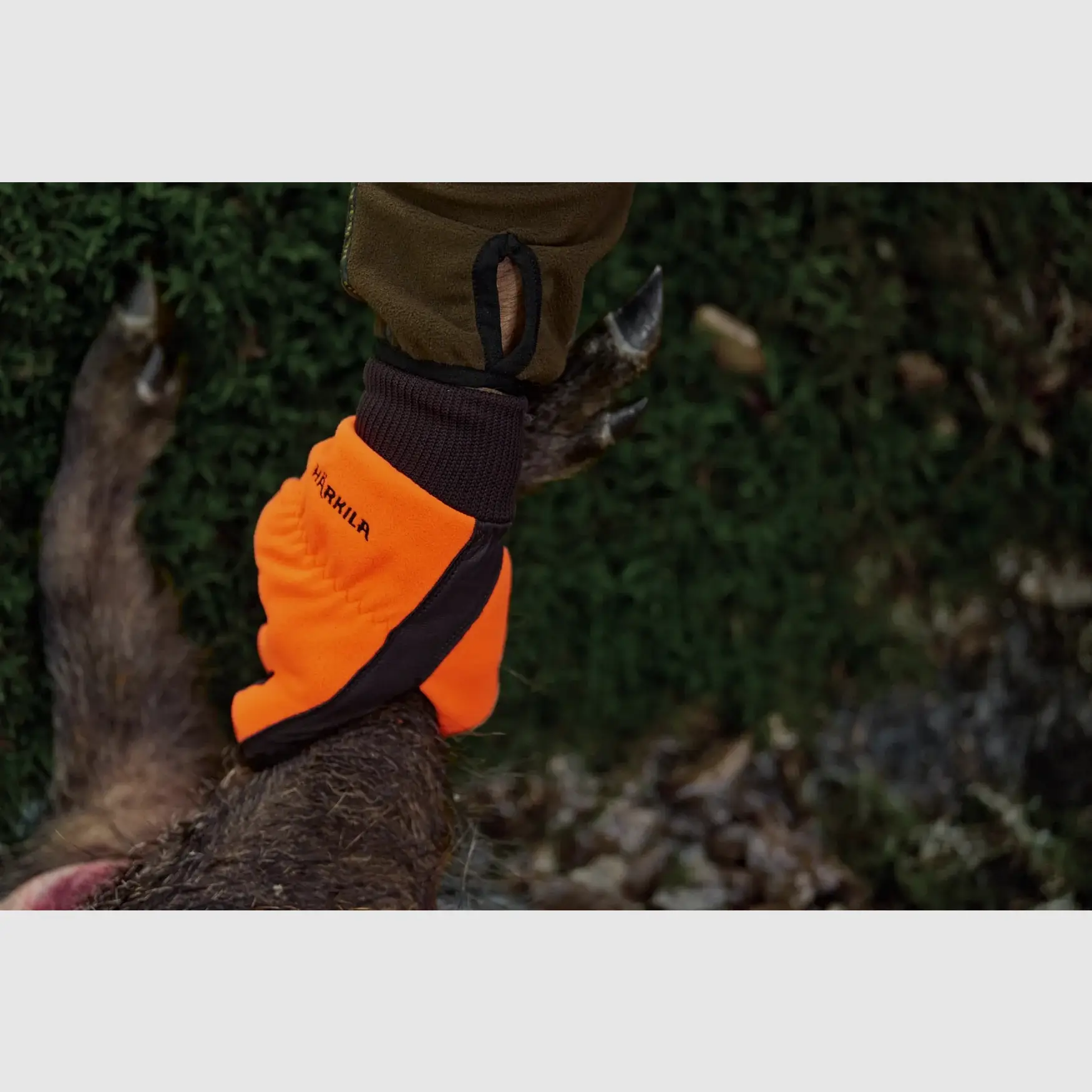 Härkila Wildboar Pro Shooter Blaze WSP gants, orange blaze/marron, image 6 sur 7