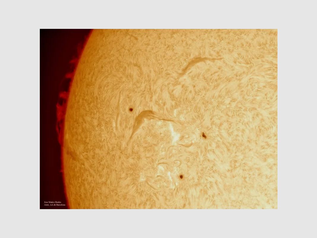 LUNT LS100FHa/B600d1 H-Alpha Sonnenfilter, Bild 2 von 13