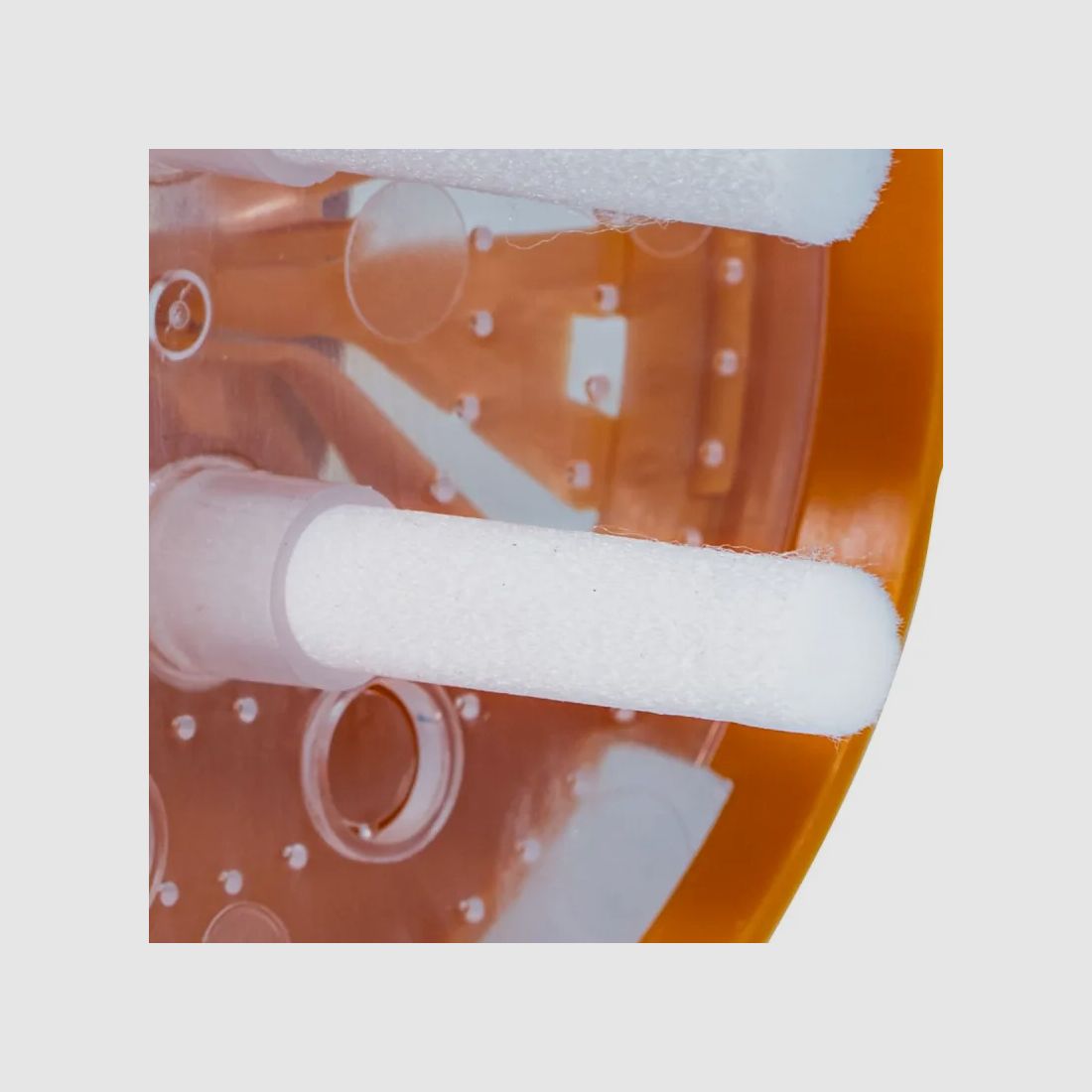 Kit 1 trappola per vespe asiatiche + 4 attrattivi + 2 diffusori in cotone, immagine 9 di 11