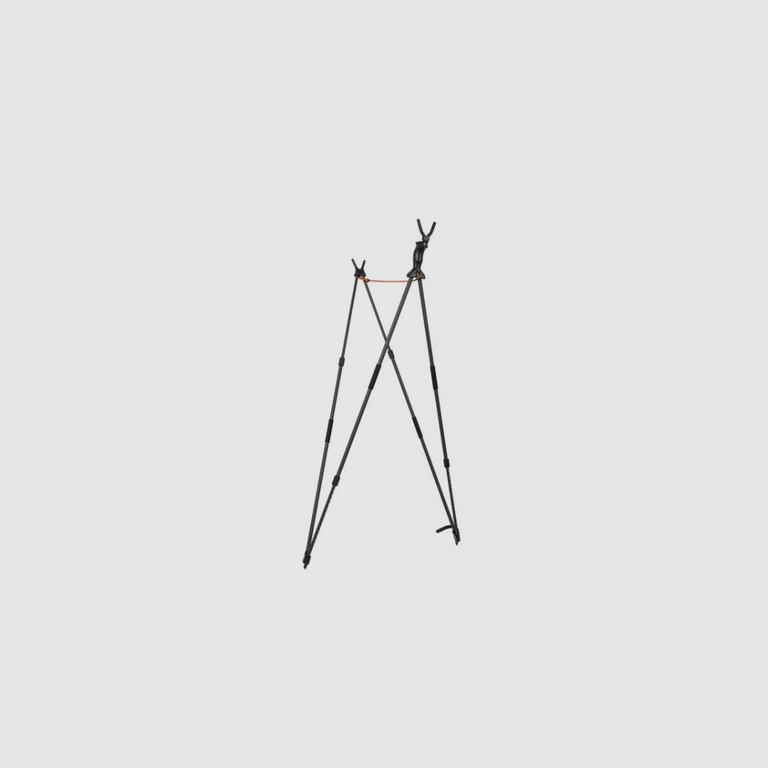 PIRSCHE CARBON BLASER