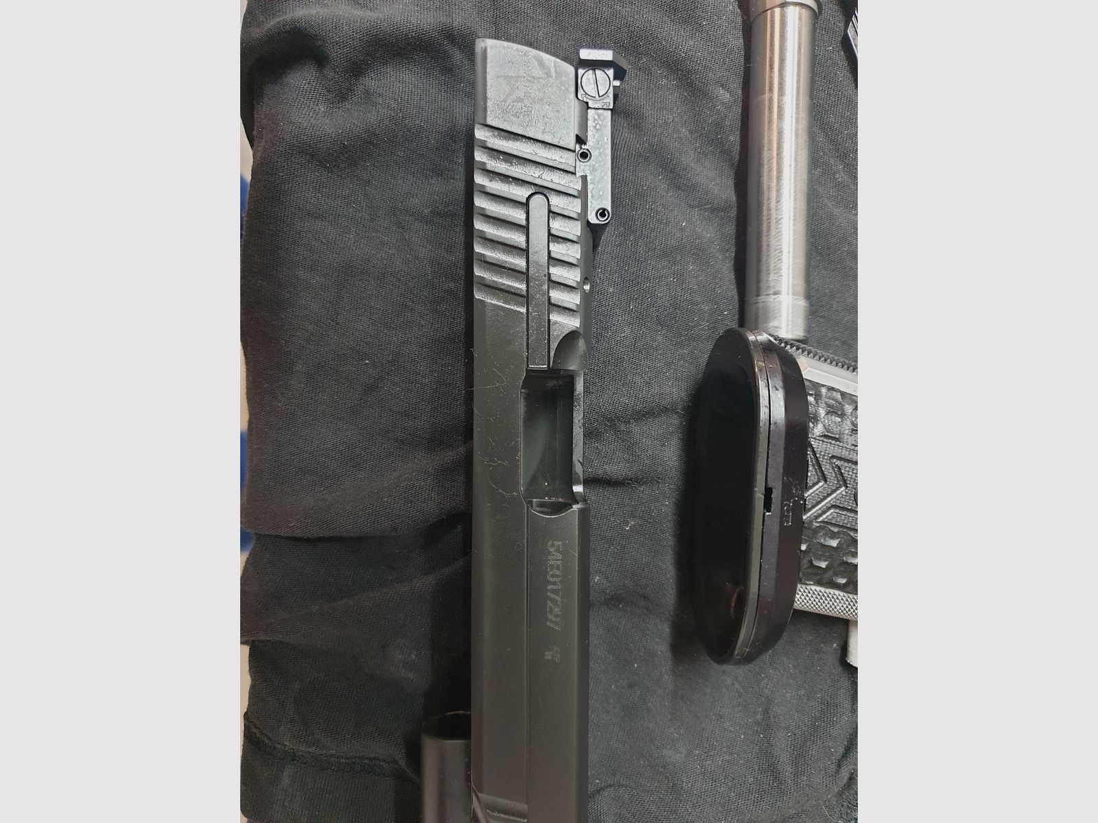 Sig Sauer Max Michel 
