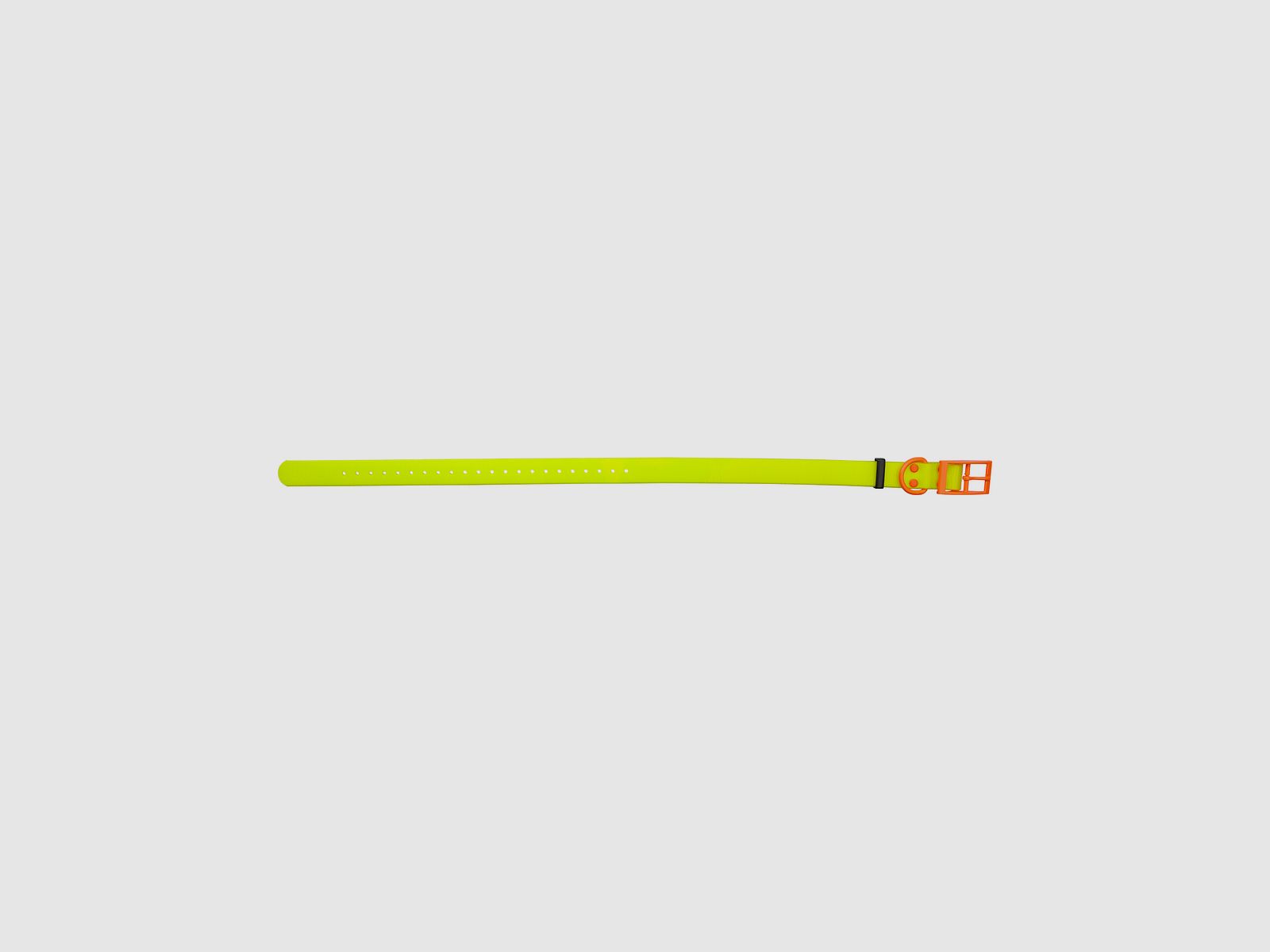 HP&G Dog Collar 25mm Yellow