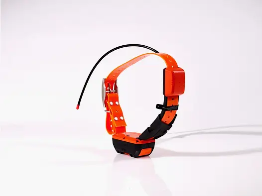 Garmin TT20 K Satellite Collar