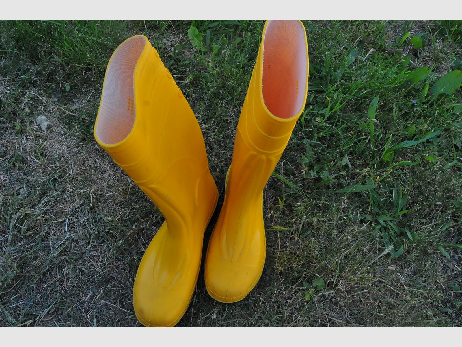 Rubber boots in yellow color shoe size 43
