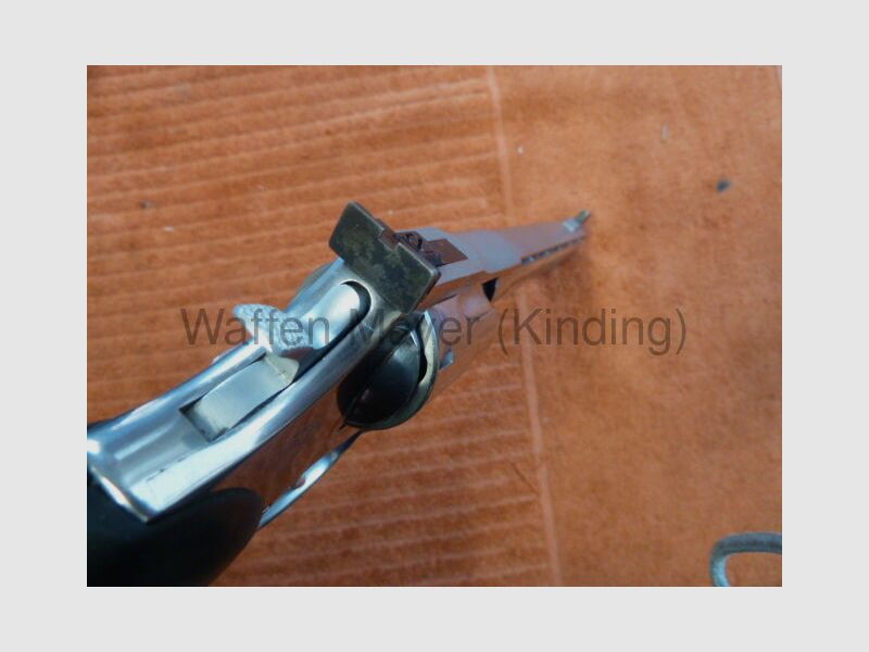 Taurus Euro Champion