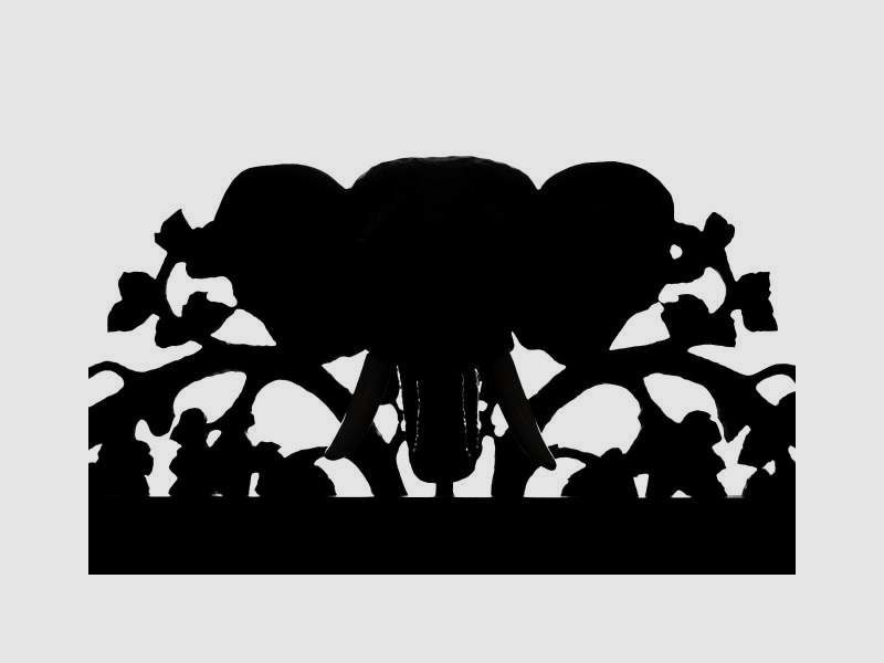 Panorama Elefant, Bild 11 von 22