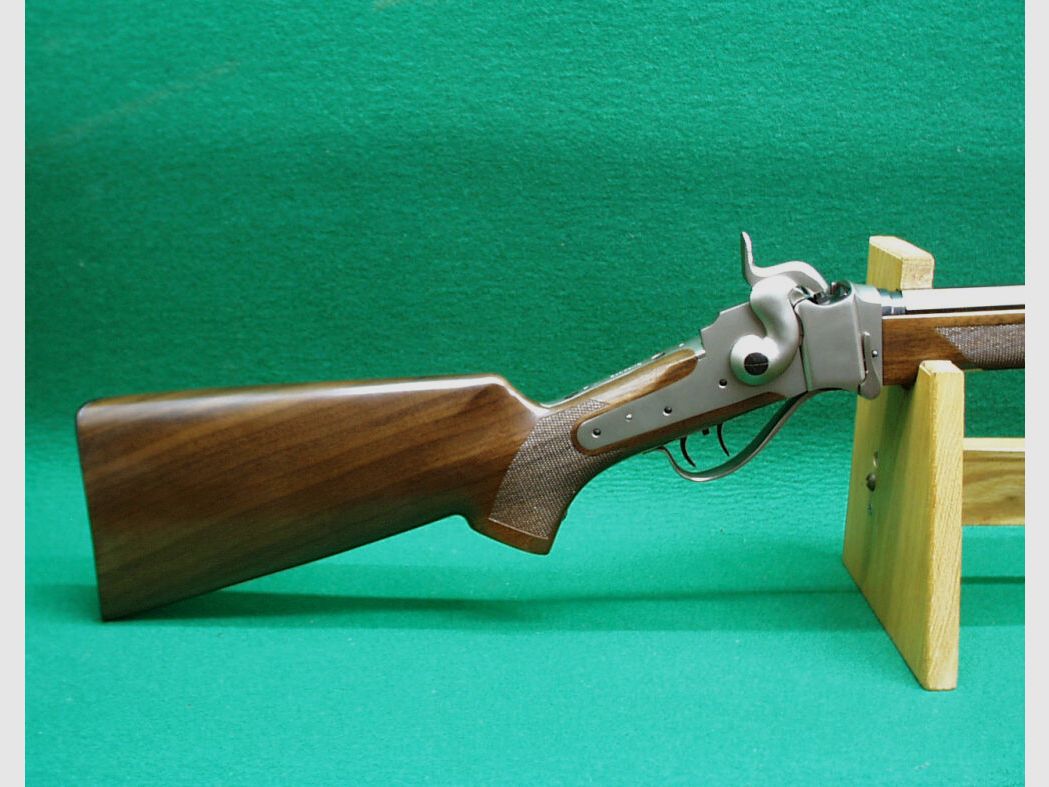 Competencia Sharps Saguaro de Pedersoli 34"