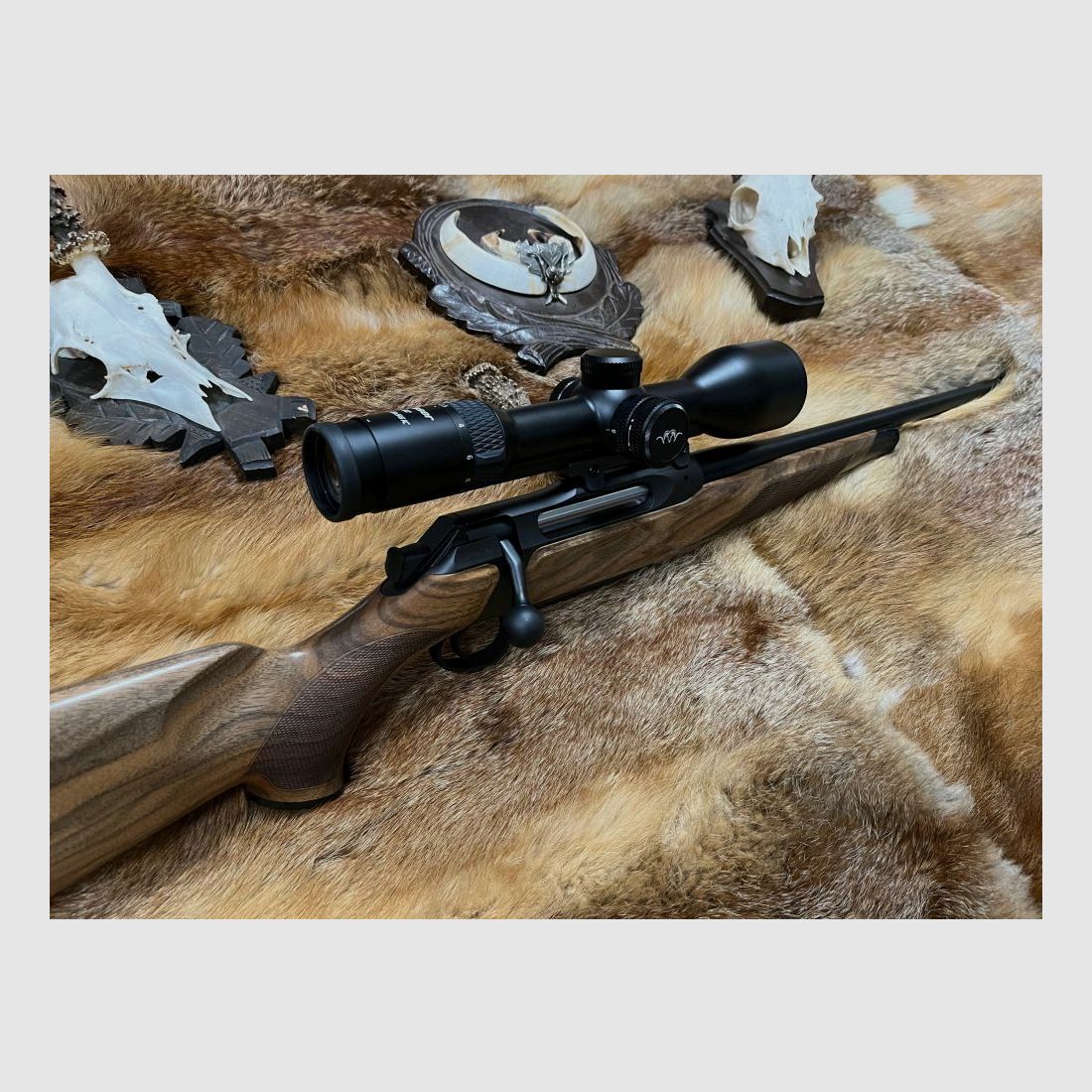 Sauer & Sohn Mod. 505