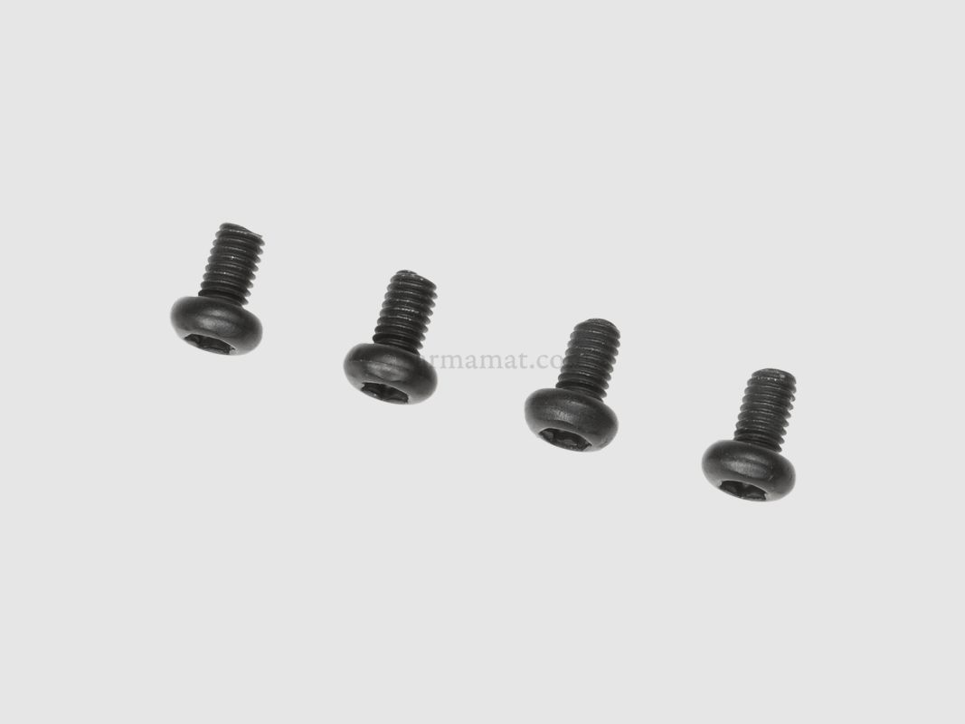 VITI DI MONTAGGIO HOLOSUN 4 PZ CORTO, immagine 2 di 2