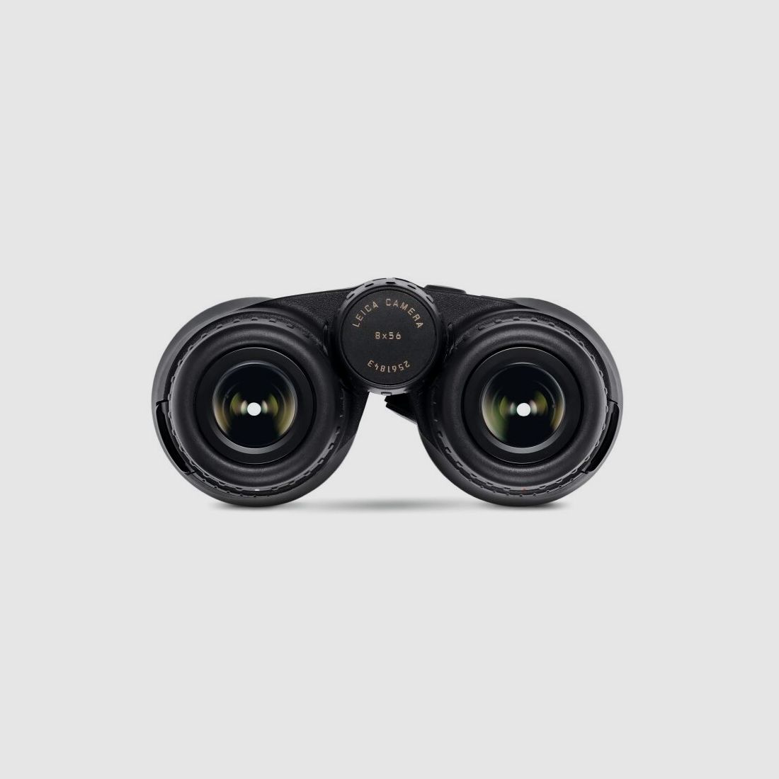 Leica Fernglas Geovid R SE 56
