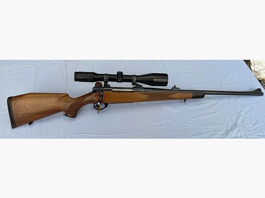 RWS Model 89