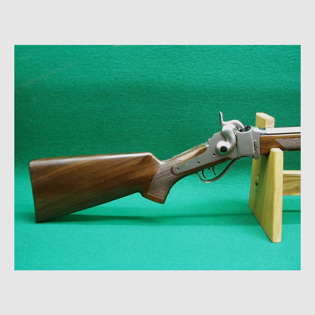 Competencia Sharps Saguaro de Pedersoli 34"