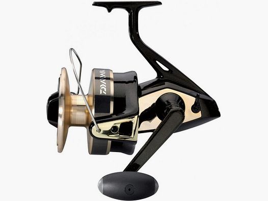 DAIWA GOLD SILVER B