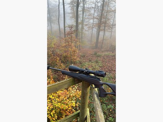Blaser R8 Professional Success 