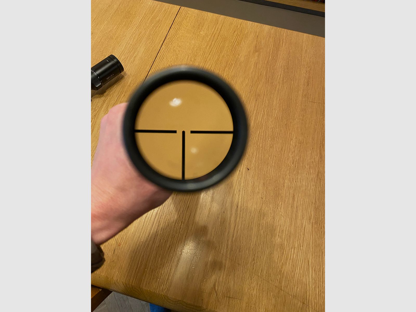 Zeiss Diatal Z 8x56 T with Steyr swivel mount