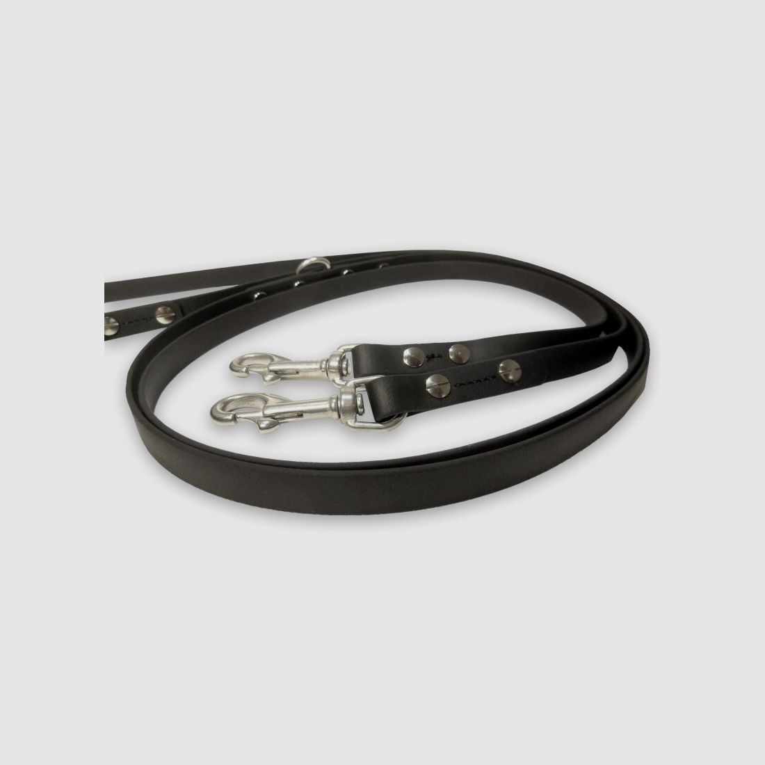 Laisse de transport Biothane 2,5 m / 19 mm de large