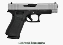 Glock Pistole 48 FS silver slide