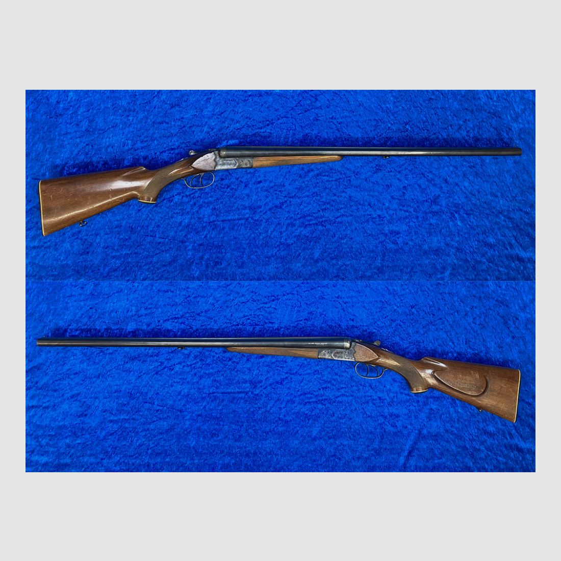 A.S.L. Armi Gnali Consul