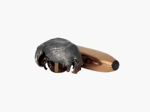 NORMA 9,3mm .366 232grs Oryx 69307-1