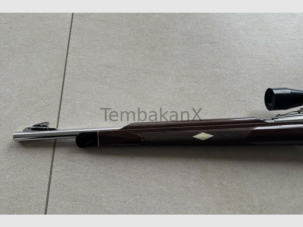 Remington Nylon 66 .22lr