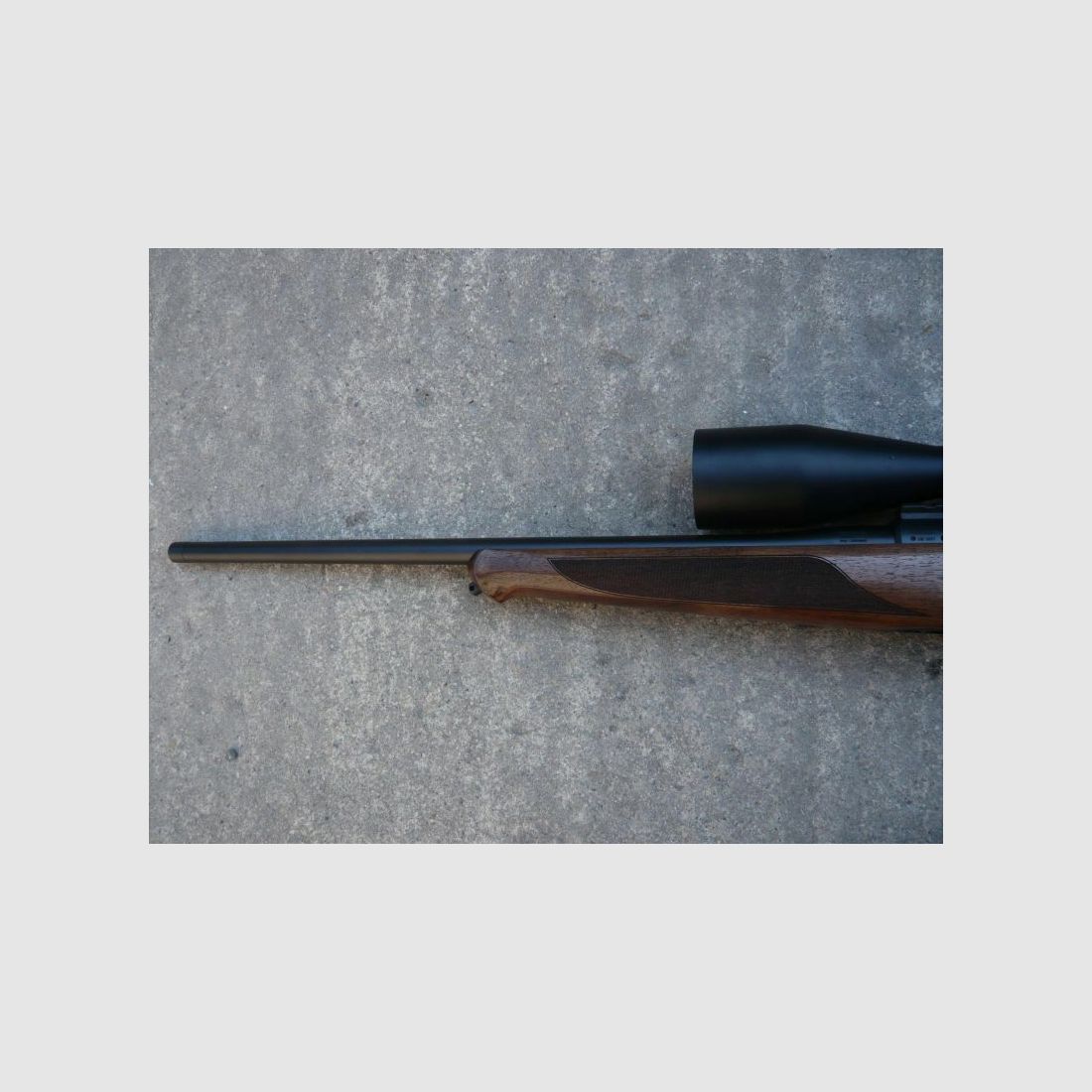 Sauer 101