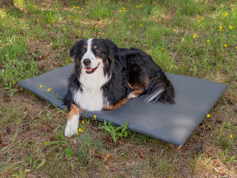 Reimo Dog Mattress - Tailgate Cover for VW T5/T6 California, image 2 of 6