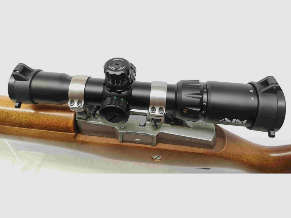 Ruger Ranch Rifle Mini 14
