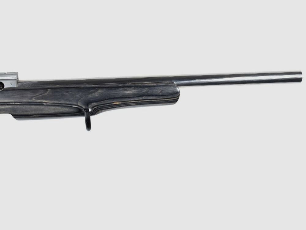 Ruger 10/22